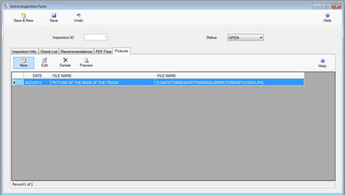 The Active Inspection Form Picture Tab is displayed in browse mode from the SafetyWise VB Safety System.